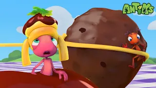 Joey & Boo's Meatball Mayhem! 🍝🐜 They're Rolling Away! | Antiks