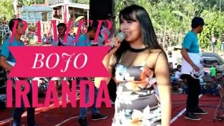 Download GEOL MENTUL MENTUL ARTIS IRLANDA | PAMER BOJO | NITA VISION MP3