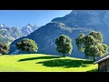 Download Lagu FAKTA DARI KEINDAHAN  ALAM DI SWISS BAGAIKAN MELIHAT SEBUAH LUKISAN
