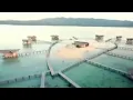 Download Lagu Berenang Dilaut Cinta : Endang S Taurina
