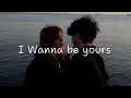 Download Lagu Arctic Monkeys - I wanna be yours (lyrics)