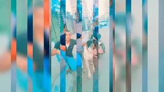 الكلب اوفى صديق 