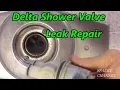 Delta Single Handle Shower Valve Leak Repair Series