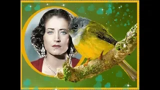 ألام     يرة أسمهان  دخلت مره فى جنينة اسطوانة نادرة جدا    دندنها