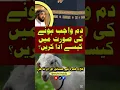 Download Lagu Dam wajib hony ki sorat ma kesy ada karain?| Umrah Information | Umrah with Mufti Habib