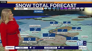 Snow total forecast