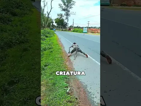 Todos Los Animales Salieron Corriendo 😱