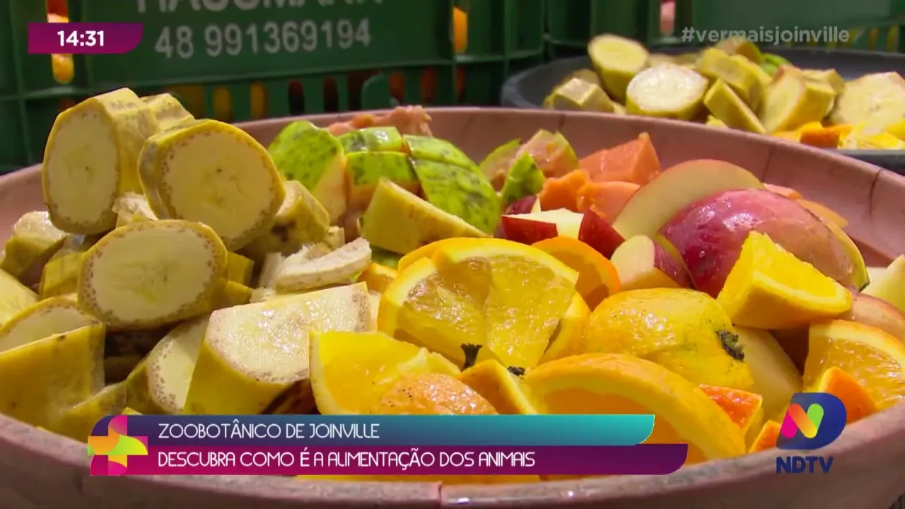Zoobotânico de Joinville: descubra como é a alimentação dos animais
