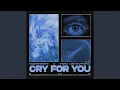 Lagu Cry For You