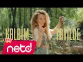 Download Lagu Ziynet Sali - Kalbim Tatilde