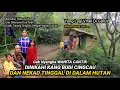 Download Lagu MUSTAHIL TIDAK MUNGKIN!! NIKAH BEDA USIA WANITA CANTIK DI NIKAHI KANG CINGCAU DAN TINGGAL DiHUTAN