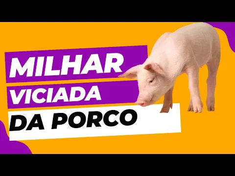 Download MP3 Milhar e Centena VICIADA DO PORCO que mais sai, Milhar Premiada e Significado de Sonhar com Porco