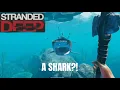 Download Lagu Is Stranded Deep still Relevant? ||Season 2 ep 1