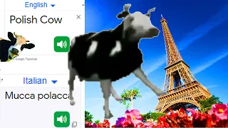 Download Polish Cow dance in different languages meme MP3