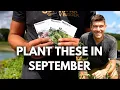 Download Lagu Every Crop We are Planting NOW in September! 