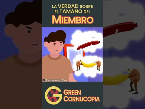 La VERDAD sobre el Tamaño del MIEMBRO Humano 🍆 #shorts
