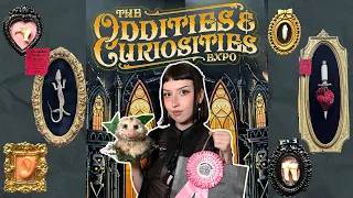 Oddities Curiosities 2026 MASSIVE haul weird trinkets taxidermy class