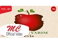 Download Lagu Evis - Diğer Yarım