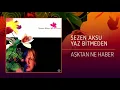 Sezen Aksu - Aşktan Ne Haber (Official Audio)