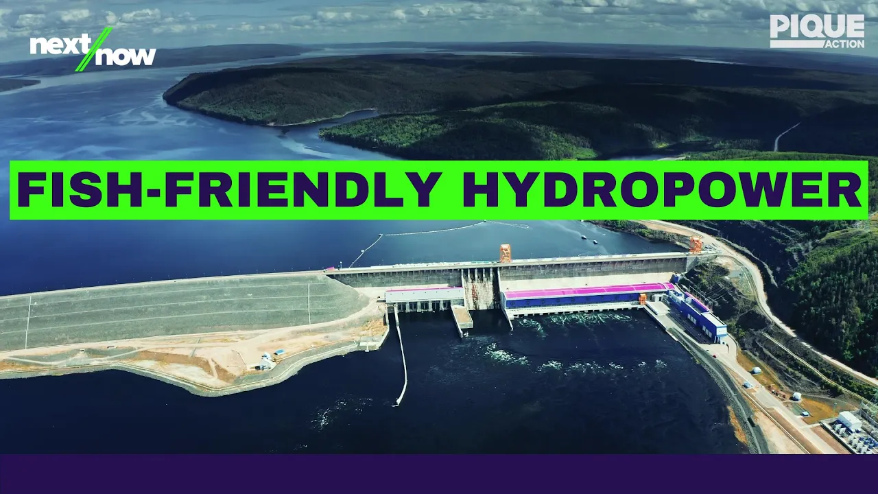 Hydropower Protecting River Life | Natel Energy