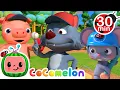 Download Lagu Take Me Out to the Ball Game and More! | CoComelon Furry Friends | Animals for Kids