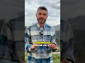 Download Lagu Allégorie de David contre Goliath dans un contexte moderne