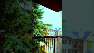 دخلت حياتي اكسبلور بدون موسيقى اغاني 1k حالات واتس دخلت حياتي تامر حسني 