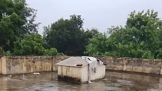 बारिश की एक खूबसूरत सुबह आश्रम में 😘
