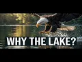 5 Minutes of Eagle Serenity Cinematic Nature Beats