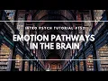 Emotion Pathways in the Brain Intro Psych Tutorial