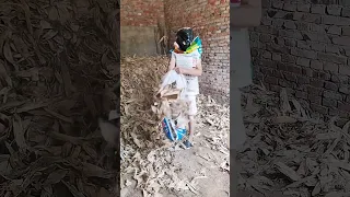           دندنها