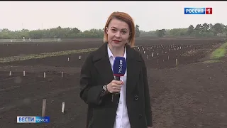 «Вести Омск», утренний эфир от 15 мая 2021 года