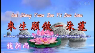 Download Lai Sheng Yuan Zuo Yi Duo Lian 來生願做一朵蓮 [Berharap Dikehidupan Selanjutnya Menjadi Setangkai Teratai] MP3