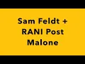 Sam Feldt Featuring RANI Post Malone INSTRUMENTAL WITH ON SCREEN