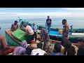 Download Lagu begini proses Penangkapan Ika teri di laut