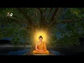 Download Lagu Om Muni Muni Mahamuniye Soha-Sakyamuni Buddha Mantra MP3