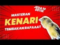 Lagu Masteran Kenari Tembakan Rapat Jeda 10 Detik | Full 1 Jam