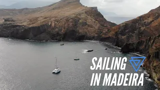 Sailing with Whales! EP 12