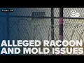 ODOC audit urged after reports of alleged raccoon mold issues at McAlester Prison surface