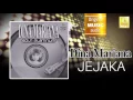 Dina Mariana - Jejaka (Official Audio)