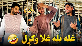 غله بله غلا وکړل  دندنها