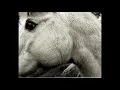 Bonny Light Horseman - Deep In Love (official audio)