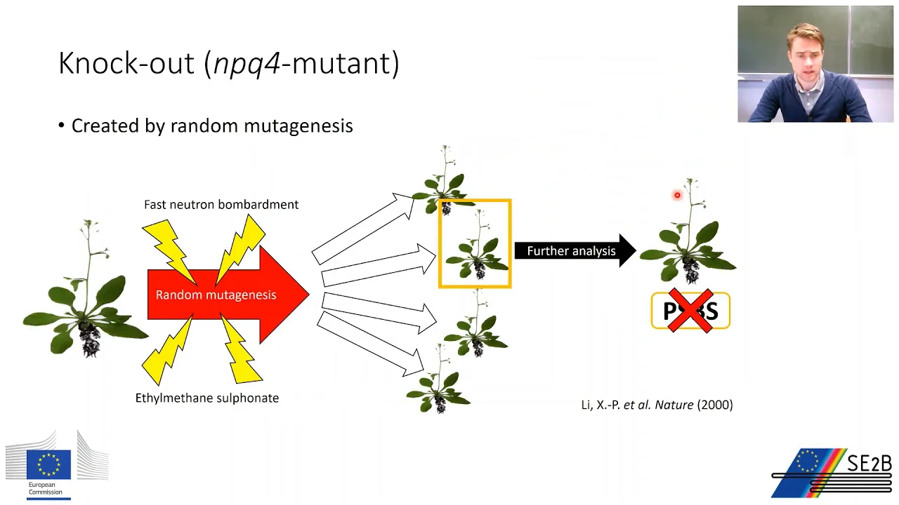 Gene Manipulation part 2