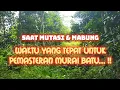 Saat Mutasi \u0026 Mabung !! Waktu Yang Tepat Untuk Pemasteran Murai Batu