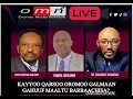 Download Lagu OMN: Kaayoo Qabsoo Oromoo galmaan gahuuf maaltu barbaachisa? MP3