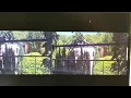 SpiderNest viewer with 25 ms Glass-to-Glass latency