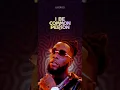 Download Lagu Common Person by Burna Boy ( Lyrics ) | #shorts #likerics