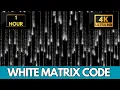 The Matrix White Binary Falling Rain Code Screensaver 1 Hour Screensaver Live Wallpaper 4K