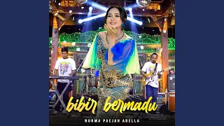 Download Bibir Bermadu MP3