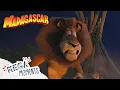 Melman On Fire Madagascar Mega Moments